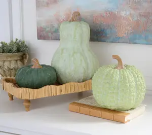 Martha Stewart Set of 3 Indoor/Outdoor Decorative Pumpkins