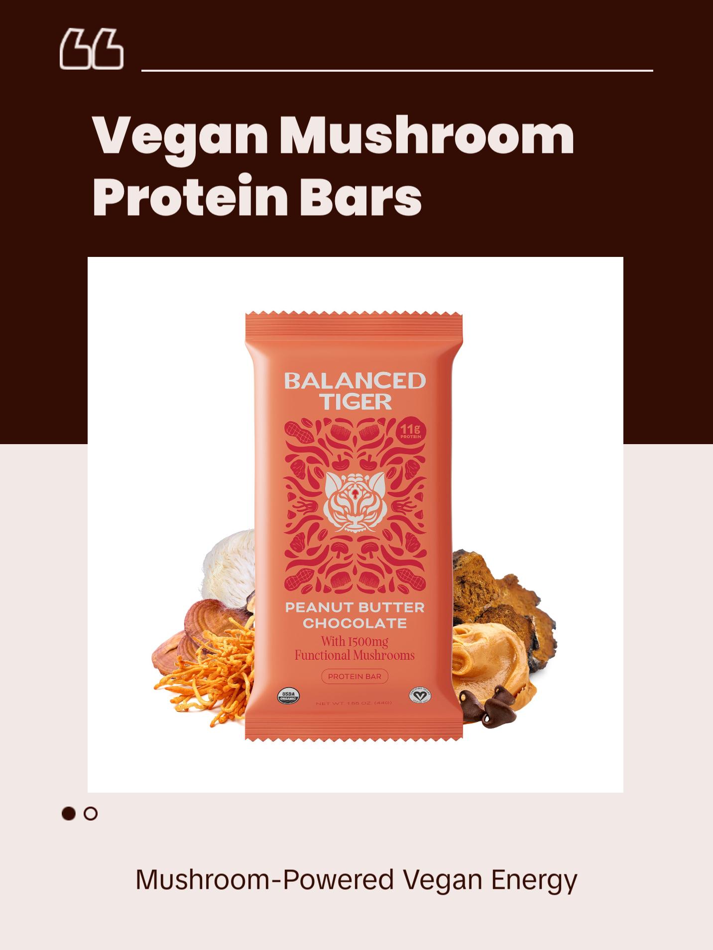 Organic Functional Mushroom Protein Bars | Full Dose (1500mg) Lions Mane, Chaga, Reishi & Cordyceps Bars | Vegan | Peanut Butter Chocolate Flavor