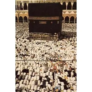 USED Book - The Qur'an: Arabic Text and English Translation (Paperback) - english