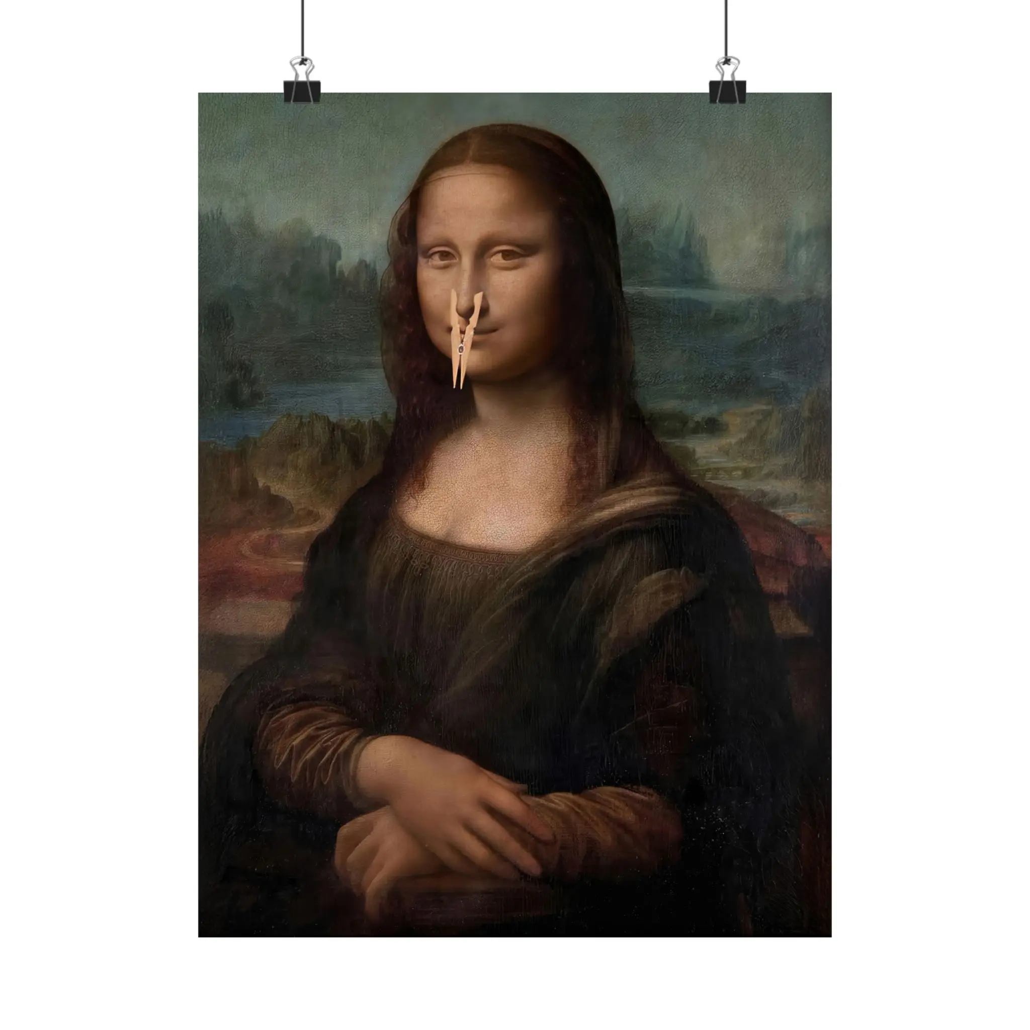 Monalisa Toilet Funny Poster, Home Decor, Wall Art