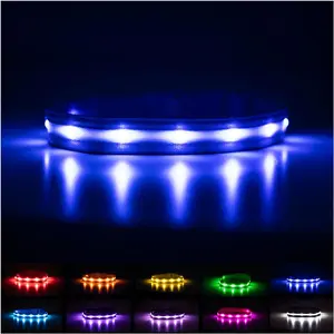 BLAZIN Brightest LED Dog Collars – The Original LED Collar Offering 1,000 Feet of Visibility – USB Rechargeable, Waterproof Design for Enhanced Safety During Nighttime Walks – Proudly Made in the USA Blazin
