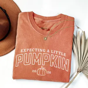 Pregnancy Announcement 2026 Shirt, Fall Baby Reveal, Expecting a Little Pumpkin, Thanksgiving Pregnancy Reveal, Autumn Baby