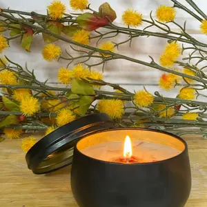 Cedar and Oien’kwa’on:we Candles  - Native American handcrafted natural non-gmo organic ethically sourced