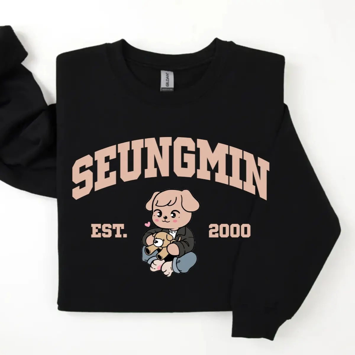 Seungmin Est.2000 Sweatshirt, Cute Stay Member Hoodie, Kpop Stans Crewneck, Fan Merchandise, Boy Group Unisex Tops Trendy Wear