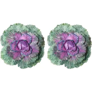 Hoppwodd 2PCS Artificial Cabbage for Spring Outdoor, Realistic UV-Resistant Artificial Vegetables, Fake Decorative Plant Props for Home Kitchen Wedding Porch Patio Decoration, Green