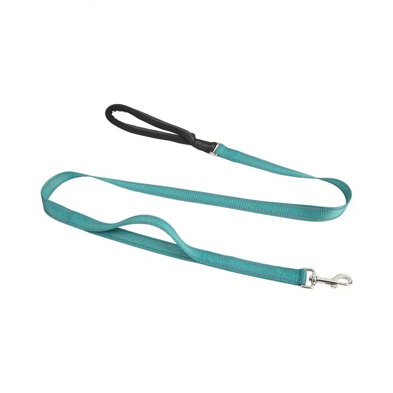 Blue leash