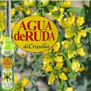 RudaCologne 7oz RudaCologne 7oz