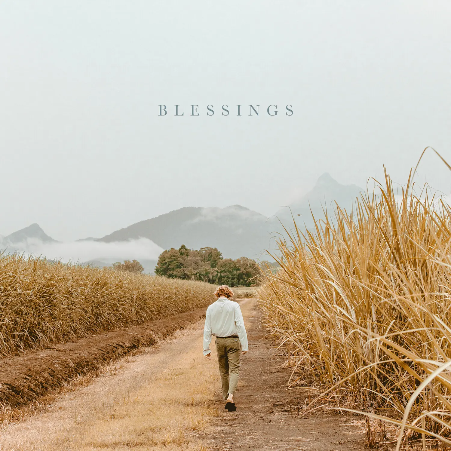 Hollow Coves - Blessings - Orange  [VINYL RECORD - LP] Colored Vinyl, 140 Gram Vinyl, Orange
