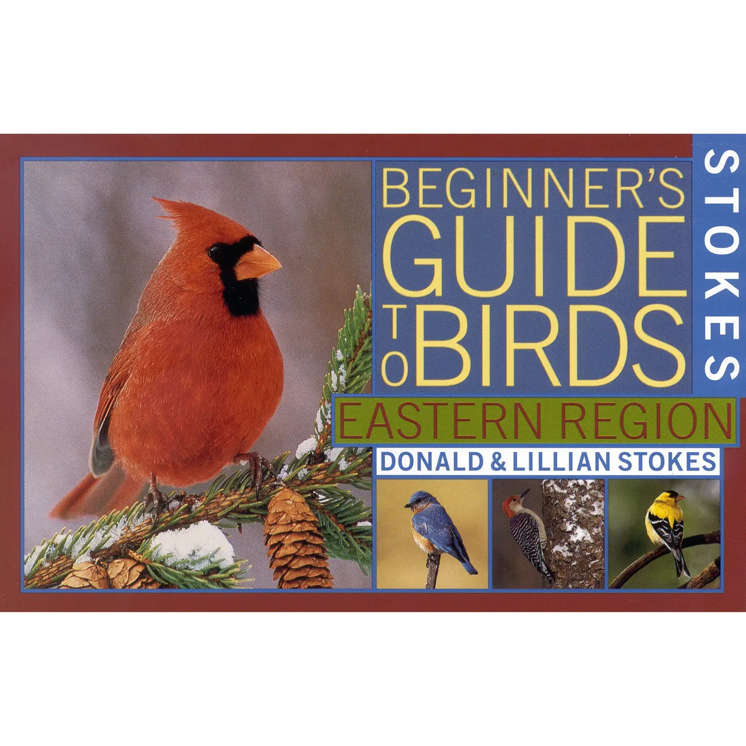 Stokes Beginner's Guide to Birds by Donald Stokes, Lillian Q. Stokes ...