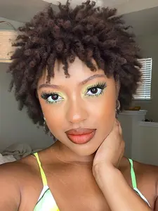 12 Inch Short Afro Curly Wigs for Black Women, Faux Locs Braiding Ombre Synthetic Hair Wigs, Synthetic Full Machine Wigs for Party, Daily Use, Glueless Afro Wig