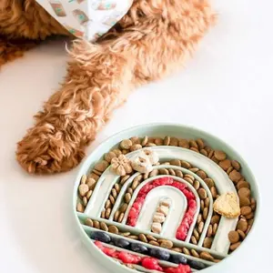 slow motion feeder bowl