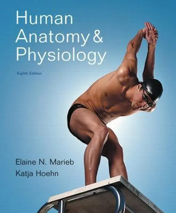 USED Book - Human Anatomy & Physiology by Elaine N. Marieb (Hardcover) - english