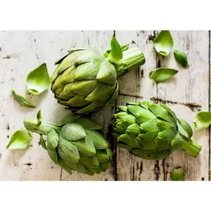 Green Globe - Artichoke Seeds