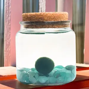 Large Moss Ball Terrarium with Aventurine Crystals, 4" Height, 4" Diameter, 1 lb, Home Decor Plant Pet, Ideal Gift, Made in USA, Zebra Mussel-Free