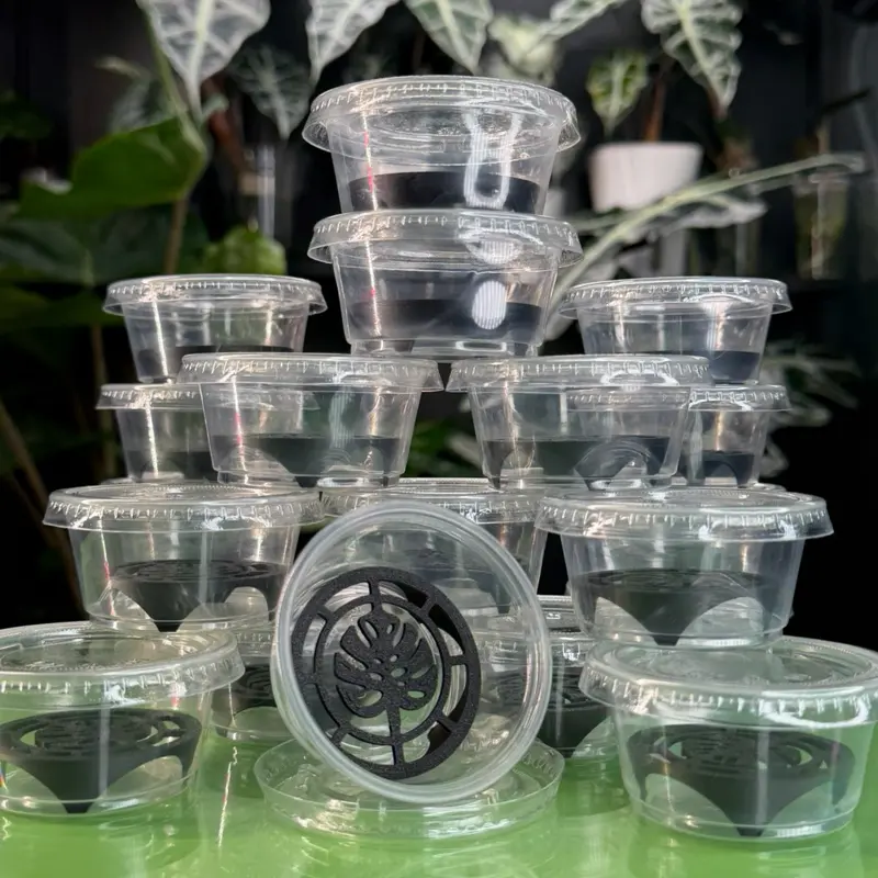 Corm Risers - Pink Monstera - Propagation Disks
