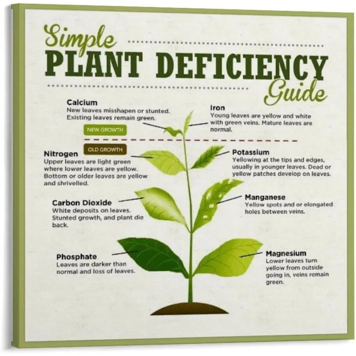 Plant Signs of Nutrient Deficiency Education Poster (4) Canvas Print Wall Art Decoration Living Room Office Bedroom Aesthetic 8x8inch(20x20cm) Frame-style