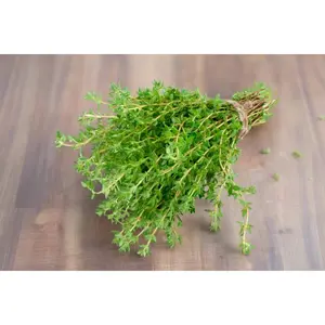 Fresh Thyme/Tomillo Pk