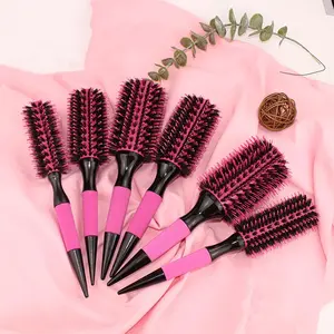 Hair Styling Brush Set, 6 Counts/set Round Comb Teeth Hair Brush with Sharp Tail Design, Heatless Styling Tool, Hair Styling Combs for Women & Girls