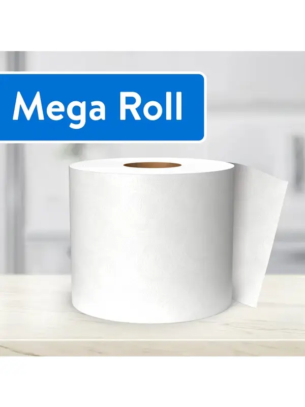 2-Ply Toilet Paper, Soft & Strong Bathroom Tissue, 18 Mega Rolls, 380 Sheets