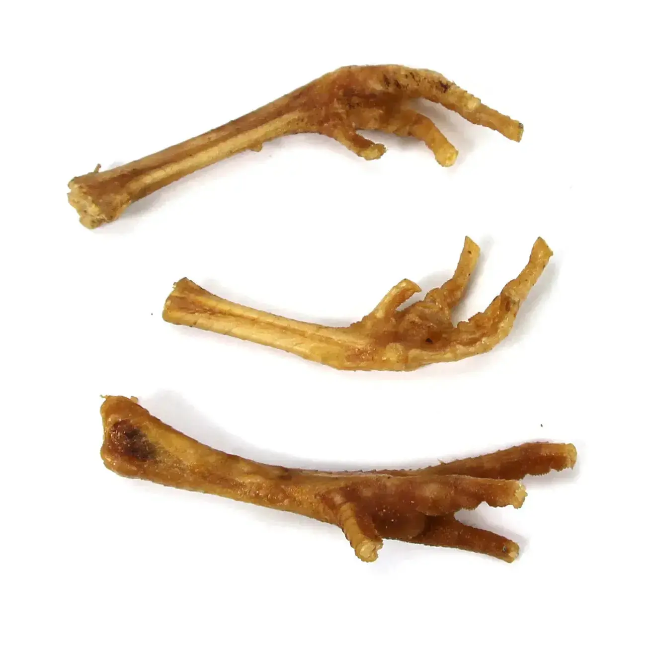 Chicken Feet - 1 chicken foot