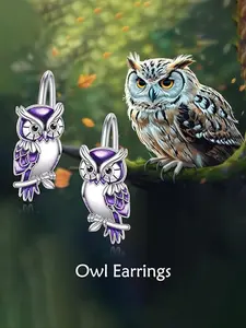 Boho Chic S925 Silver Owl Earrings for Women, Cute Daily Wear Jewelry Gift Box Included, Perfect Birthday Anniversary Present