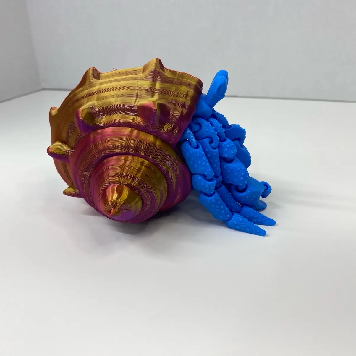 The Hermit Crab