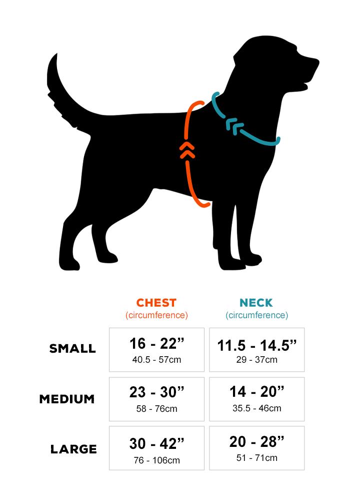 Dog Harness