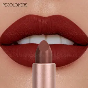1PC Waterproof Long-Lasting Lipstick,High Pigment,Cosmetic Wedding & Music Festival Makeup Gift for Women