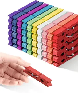 Clothespins Colored Colorful Clothes Pins Wooden Clips Rainbow Colors 50 Pack Decorative Crafts Pegs Photos Pictures Decoration Clip Clothing