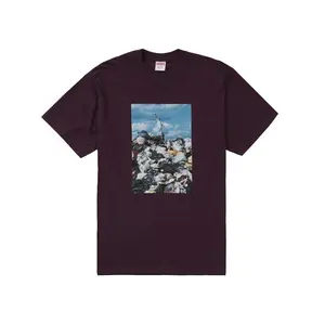 Supreme Men's Trash Tee Eggplant, from StockX
