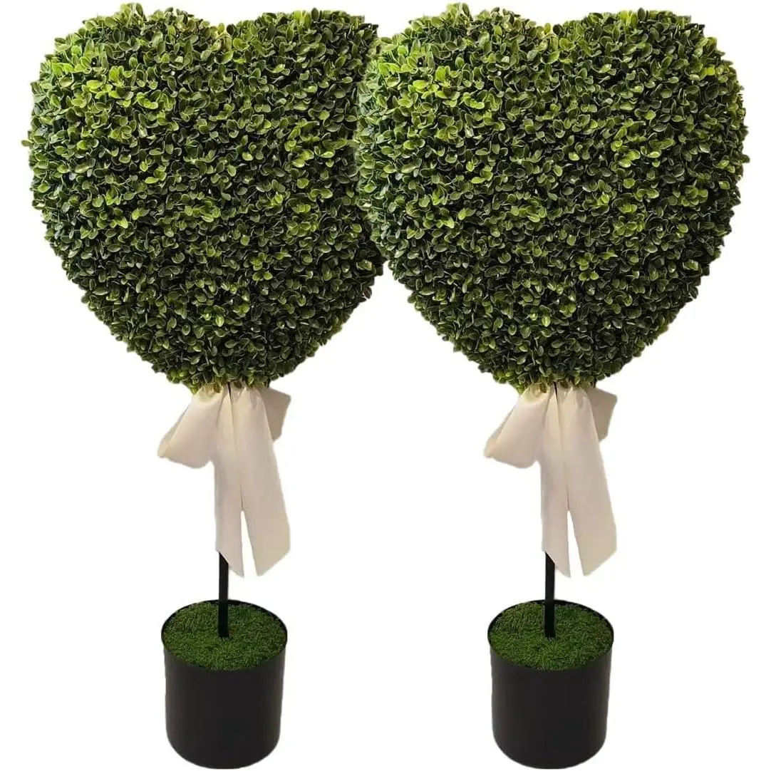 2 plants (including pots)