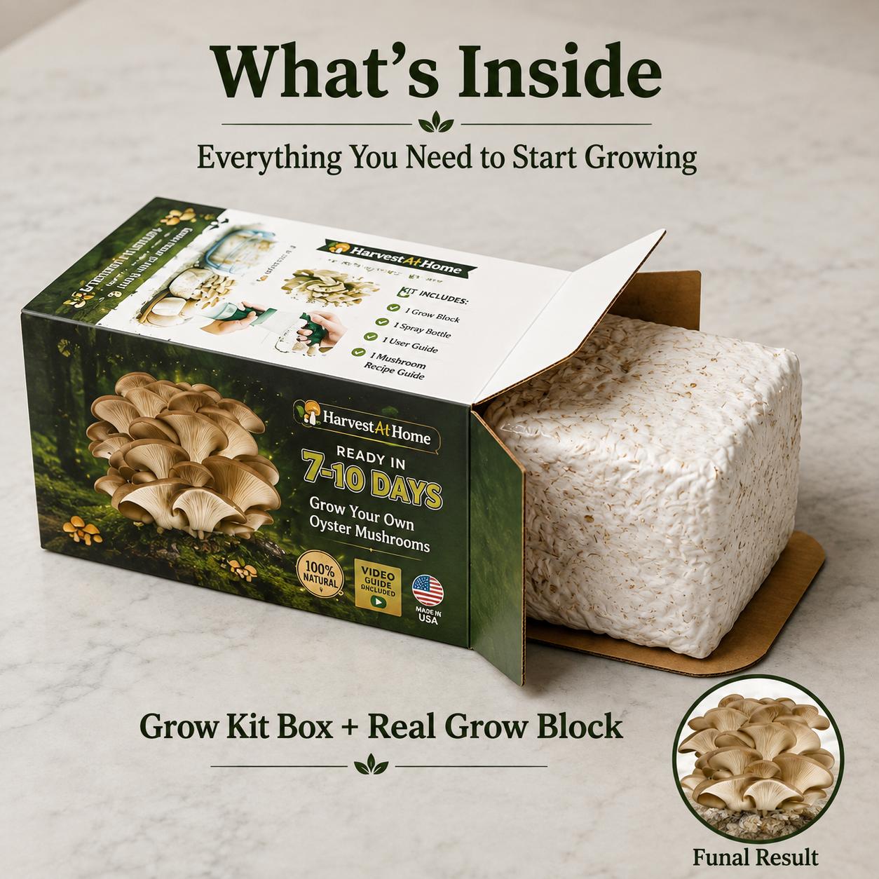 Organic Oyster Mushroom Grow Kit 3.5 lb | 1-7 Days Harvest | Easy to Grow Indoor | No Soil/Sun Required, Multiple Harvests | USDA Organic | Non-GMO | Made in USA | Perfect for Home Kitchen & Gardening EnthusiastsGift for Adults & Kids