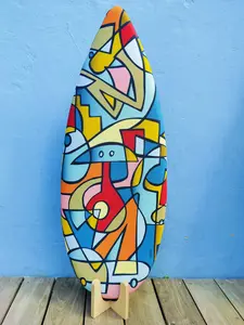 Toyboard Balance Board, Surf Training, Nils Collab - Where fitness meets fun!
