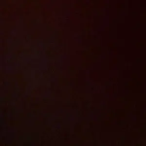 review image 9