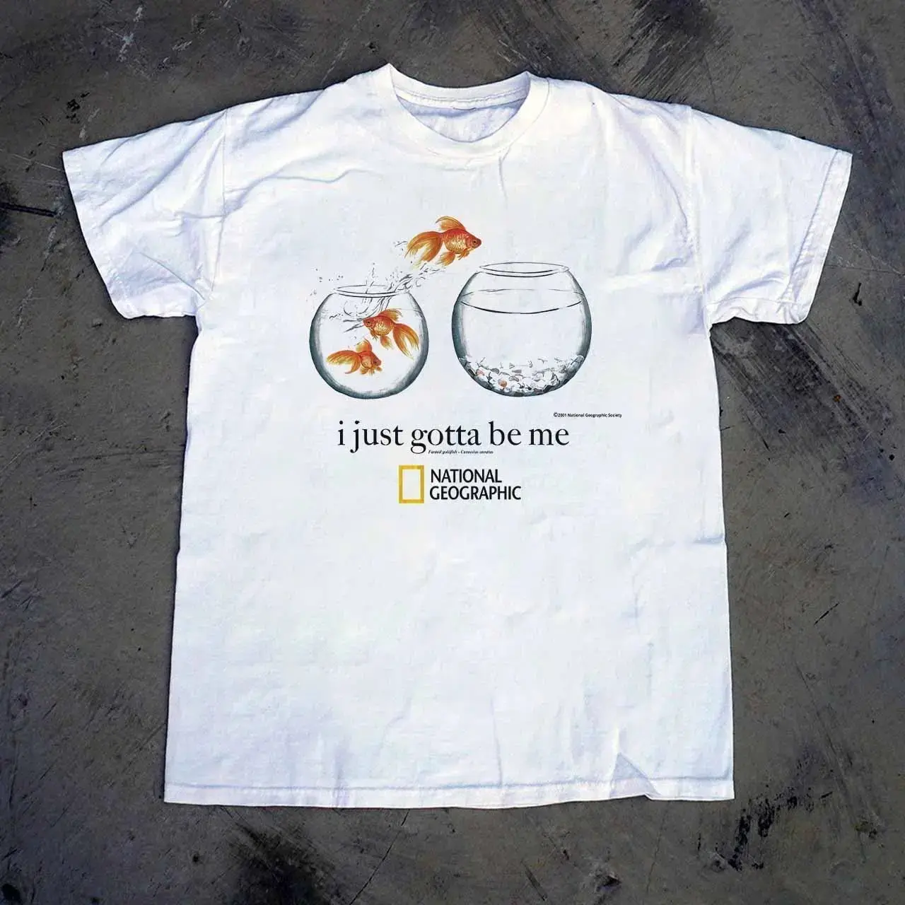 Gildan Men's and Women's T-shirt, National Geographic goldfish '' i just gotta be me t-shirt, Animal tee, Y2k Unisex Graphic Tees Gothic Grunge Emo Scene Amity Affliction Style Clothes Menswear Womenswear Streetwear
