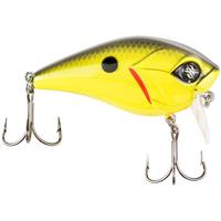 Chartreuse Black Back