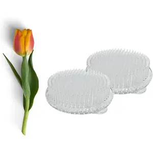 Reusable Clear Plastic Floral Frogs with Strong Suction Cups 2-Pack Flower Holder Pins Circular Shape for Secure Stable Arrangements and Easy Reuse