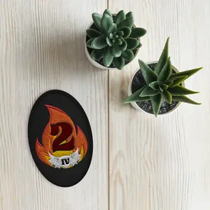 fourth wing embroidered patch, Flight jacket Cosplay Patches, dragon rider wingleader merch, second squad