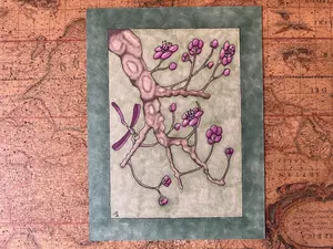 Signed Original Plum Blossom Copic Marker Art