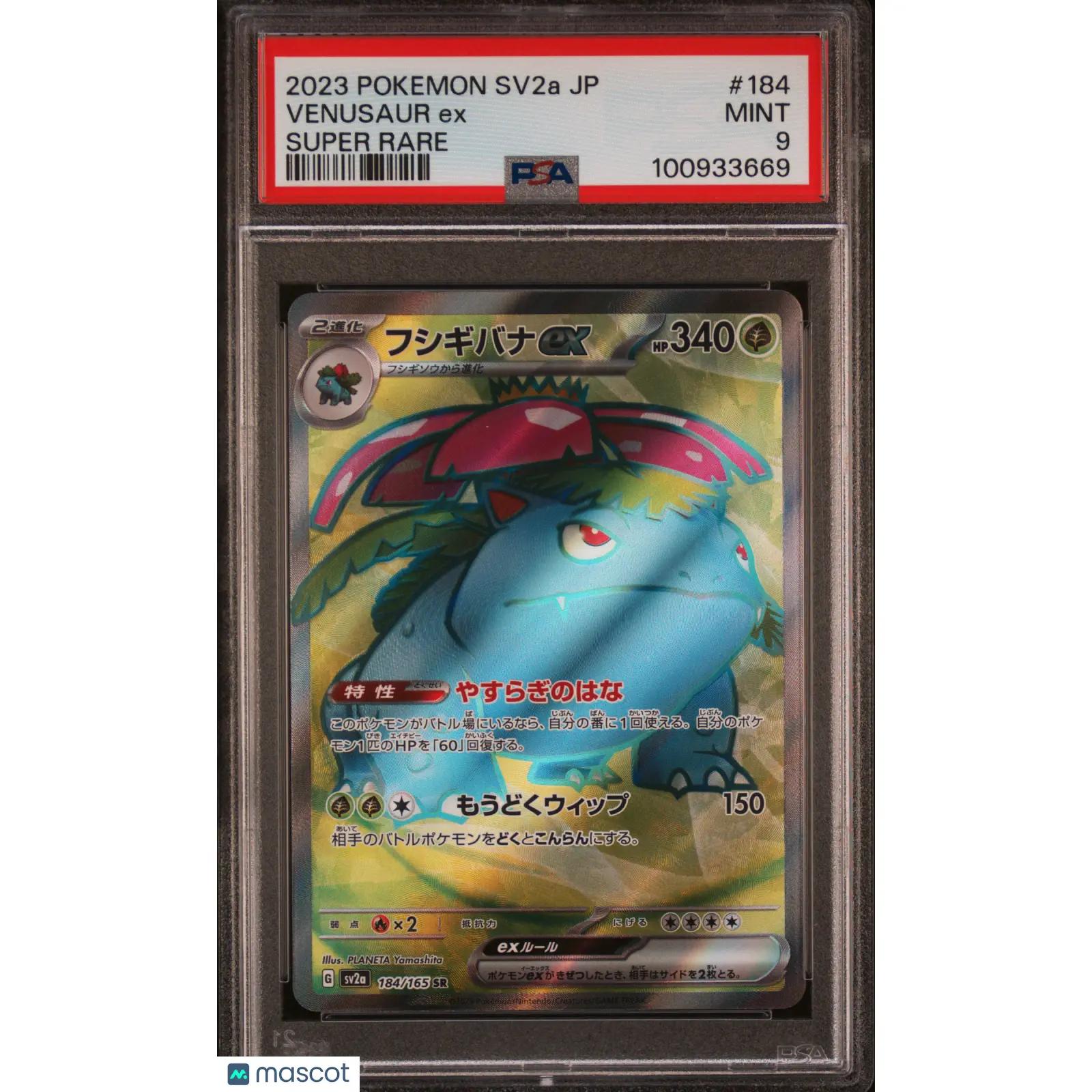PSA 9 Venusaur EX 184 Pokemon SV2A 151 Japanese 2023 Super Rare