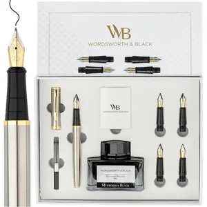 Fountain Pen Gift Set, Includes Ink Bottle, 6 Ink Cartridges, Refill Converter, 4 Replacement Nibs, Premium Package for Journaling, Calligraphy, Smooth Writing Pens [Silver Gold]