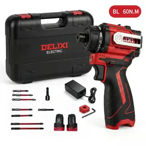 DELIXI 16.8V 60Nm brushless  driver. Brushless motor with oxygen-free copper coil for durability. 2500mAh 10C battery, 2-speed control, metal  block & LED light. Complete kit for home repair and professional work impact
