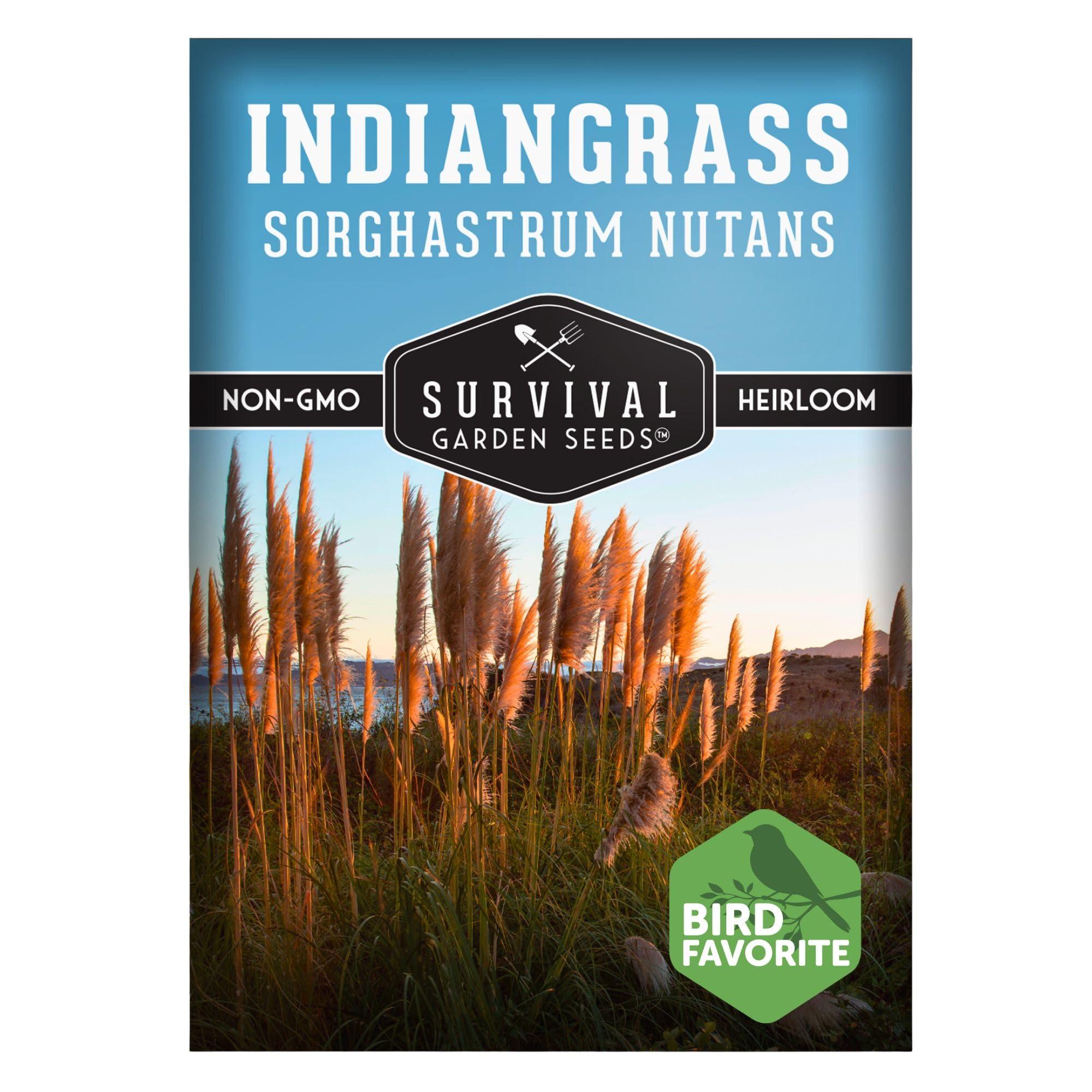 Survival Garden Seeds - Indiangrass Seeds for Planting (Sorghastrum nutans) | Golden Prairie Plant | Drought-Tolerant North American Native Grass - 1 Pack