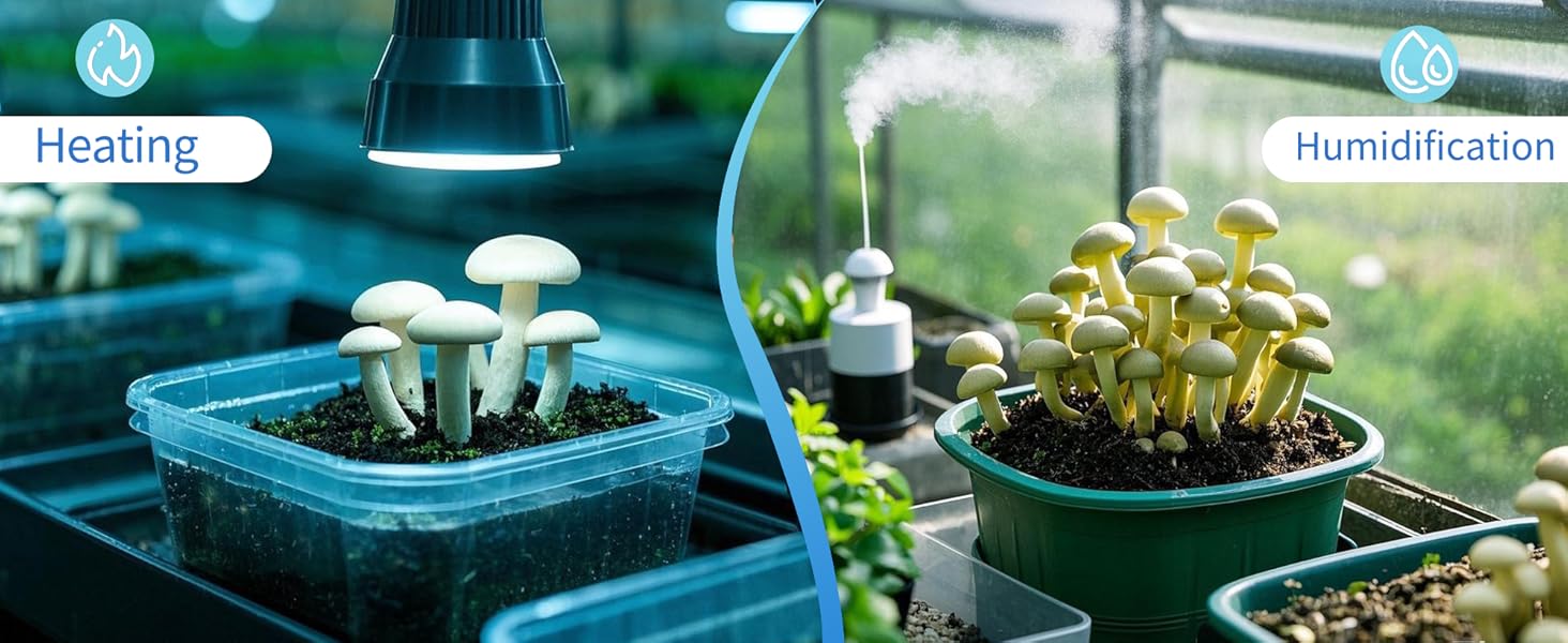 DIGITEN Temperature and Humidity Controller with Timer - 3 Outlet, 2 Separate Probes, Plug in Temperature Controller for Reptiles,Snake, Mushrooms, Tent, Triple Control for Temp,Humidity,Time