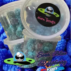 Sour Blue Raspberry Gusherrrzzzzz Candy l 1 pound l sweet l sour