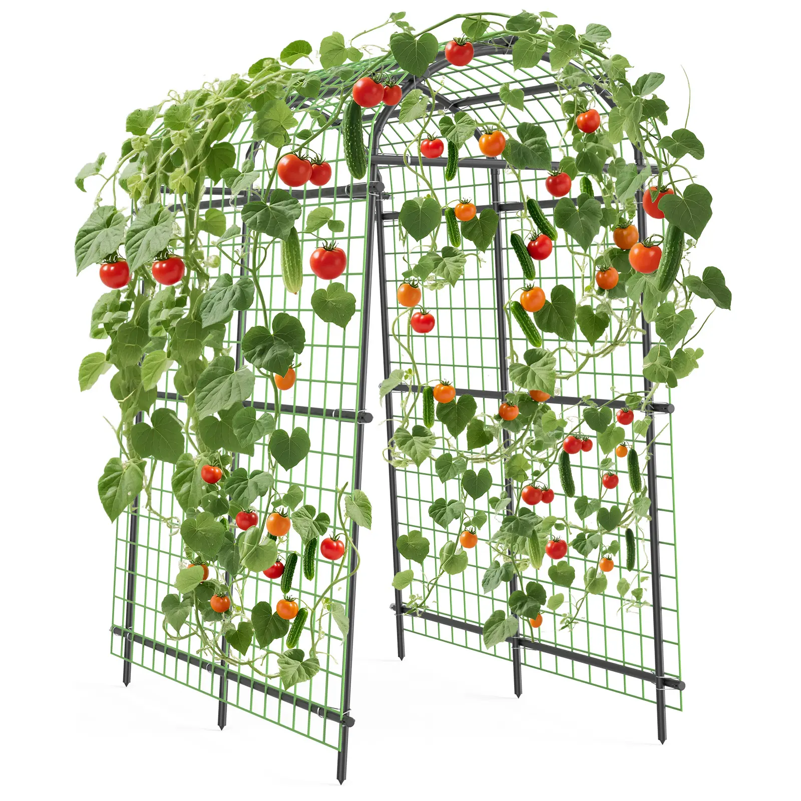 7.5FT Extra Tall Adjustable Arch Trellis Arbour - Preassembled Polyethylene-Coated Stainless Steel, Climb Support Net for Climbing Vegetable Plants, Easy Snap-On Setup with Tools, Outdoor Wedding Decor, Black