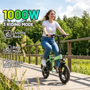 ASKMY E14 Compact Folding E-Bike, 1000W Powerful Motor, 45 Mile Range for City Commute | 14" Tires, Dual Disc Brakes, Removable UL Certified Battery | Lightweight Electric Bicycle for Adults, Portable Daily Riding