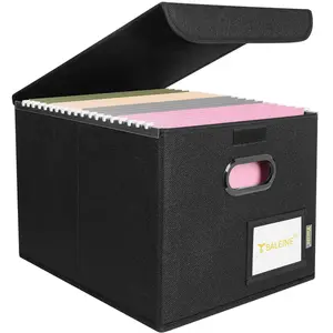 1-Pack Collapsible Desk File Organizer Box with Lid, Hanging Folders Sorting File Storage Bin, Document Organizer for Home Office & Office Use - Black