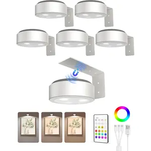 Picture Lights for Wall, 2000mAh Rechargeable   Poster Lights with 3 Color Temps & 12 RGB, Remote Dimmable Timer Painting Light, Wall Decor Light for Art Display, Frame (6 Pack)