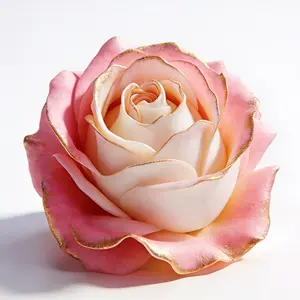 3D rose candle silicone mold, perfect for making handmade aromatherapy candles, resin projects, soap, plaster, and clay. Very suitable for birthday party decoration and Valentine's Day gifts